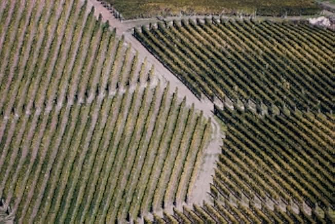 Barolo Boys. The Story of a Revolution 2014