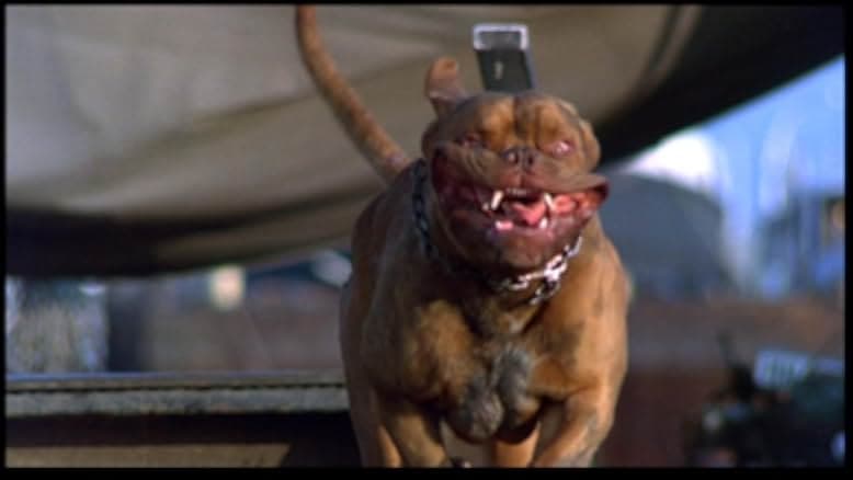 Turner & Hooch 1989