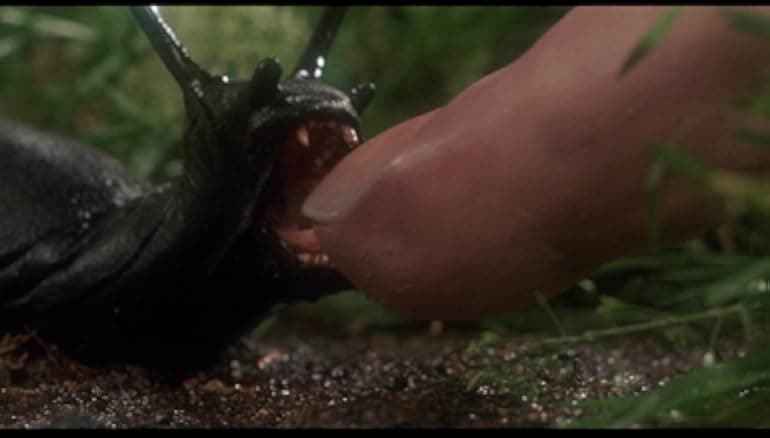 Slugs 1988