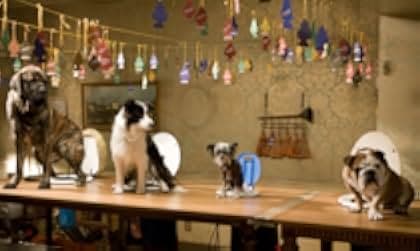Hotel for Dogs 2009