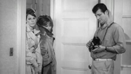 Warm Nights and Hot Pleasures 1964