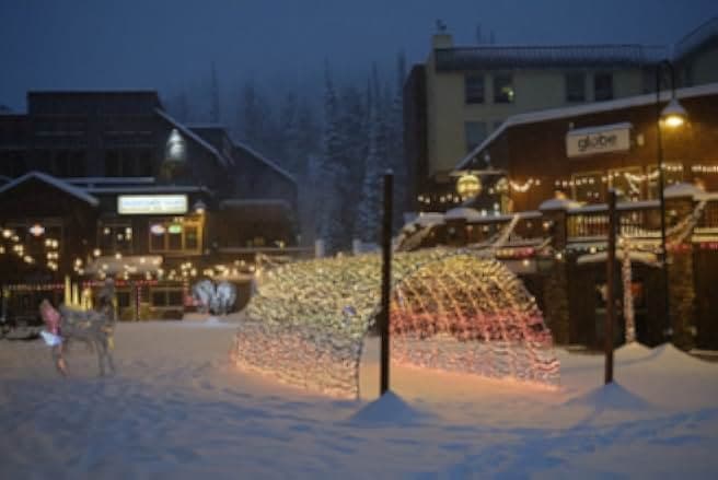 Love in Winterland 2020