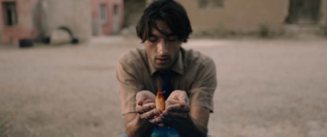 Sleep of the Crow 2023