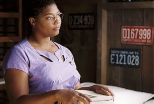 The Secret Life of Bees 2008