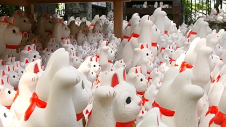Cat Nation: A Film About Japan's Crazy Cat Culture 2017