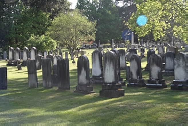 The Secret Village 2013