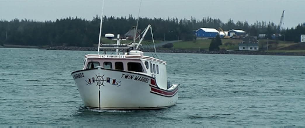 Murder in the Cove 2020