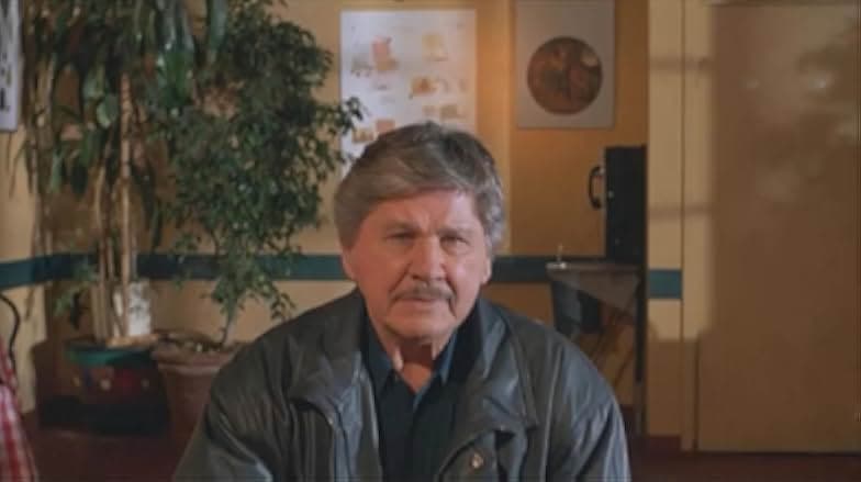Death Wish: The Face of Death 1994