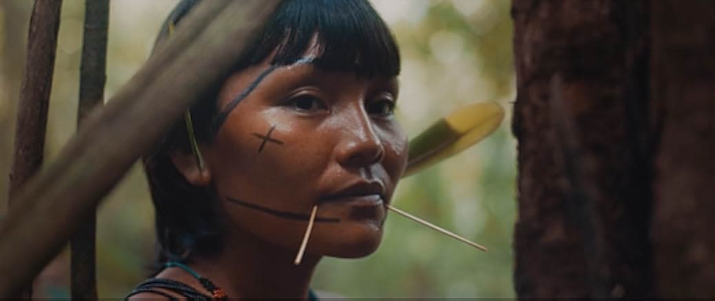 The Last Forest 2021