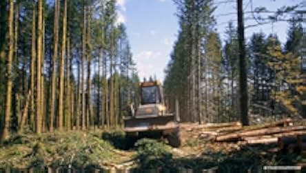The Time of Forests 2018