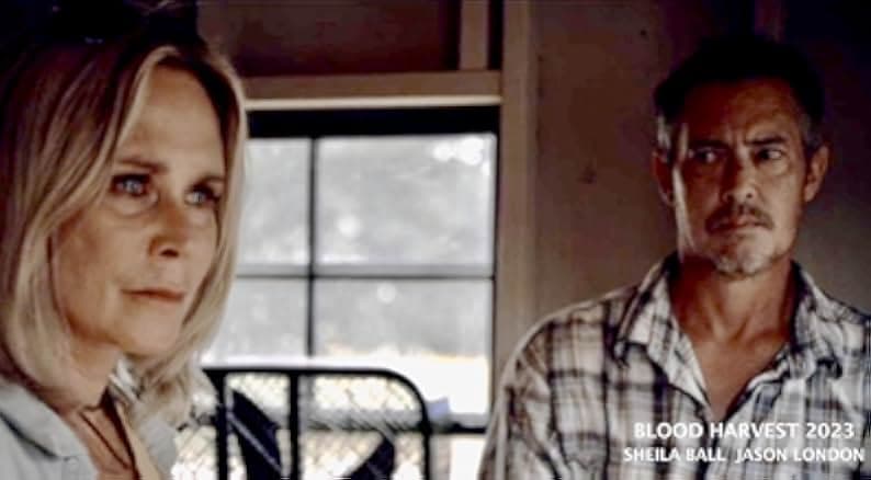 Blood Harvest 2023