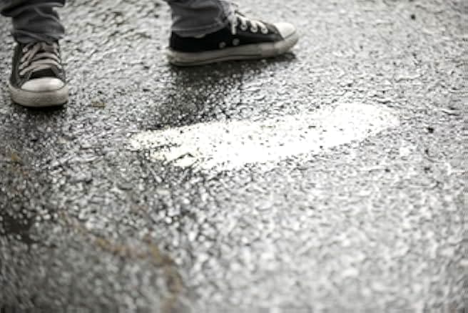 Bigfoot: The Lost Coast Tapes 2012