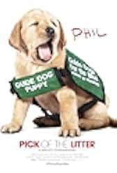 Pick of the Litter 2018