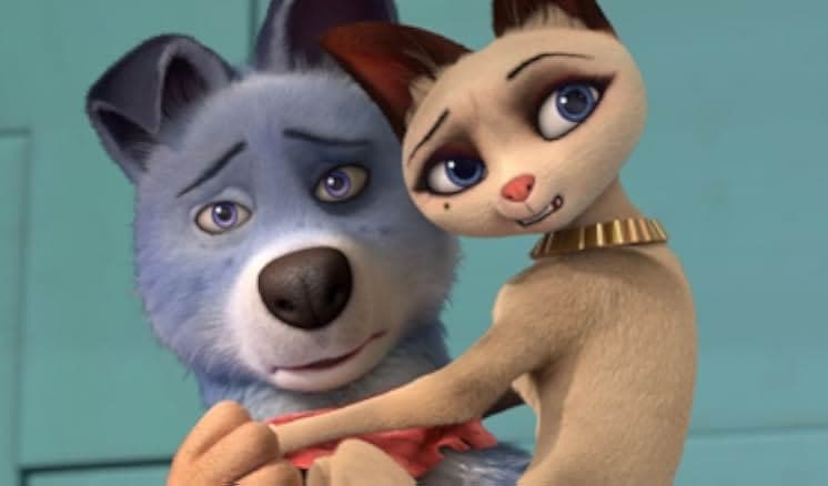 Pets United 2019