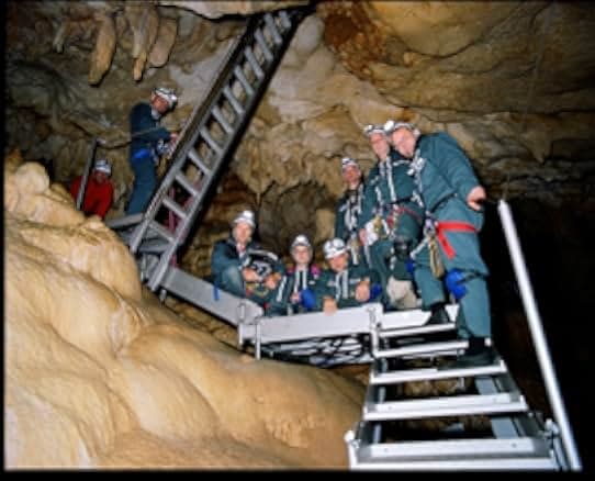 Cave of Forgotten Dreams 2010
