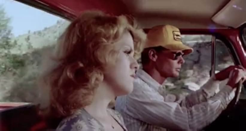 Vigilante Force 1976