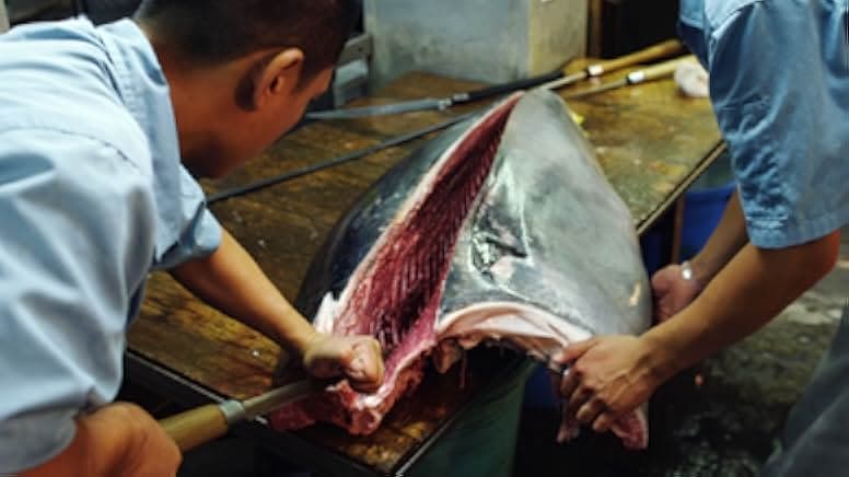 Jiro Dreams of Sushi 2011