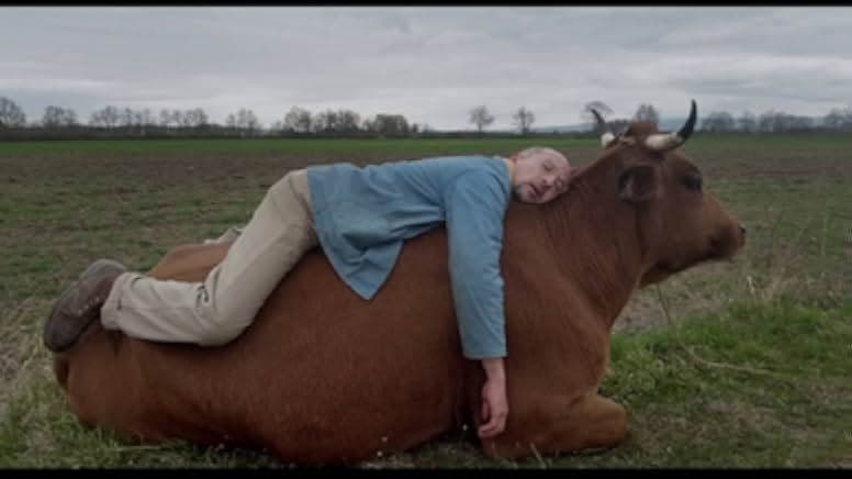 One Man and His Cow 2016