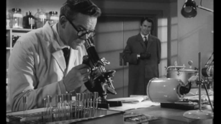 The Risk 1960