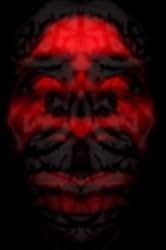 Dabbe: Zehr-i Cin 2014