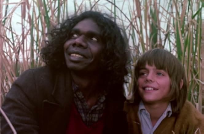 Storm Boy 1977