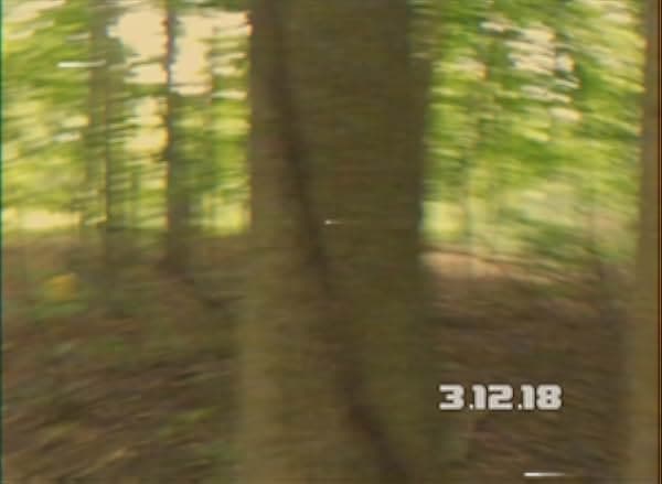 The Klatos Paradox 2020