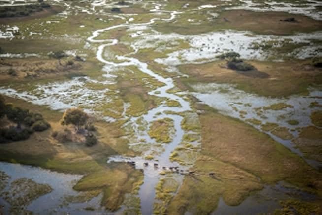 Into the Okavango 2018