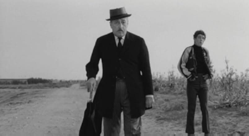 The Hawks and the Sparrows 1969