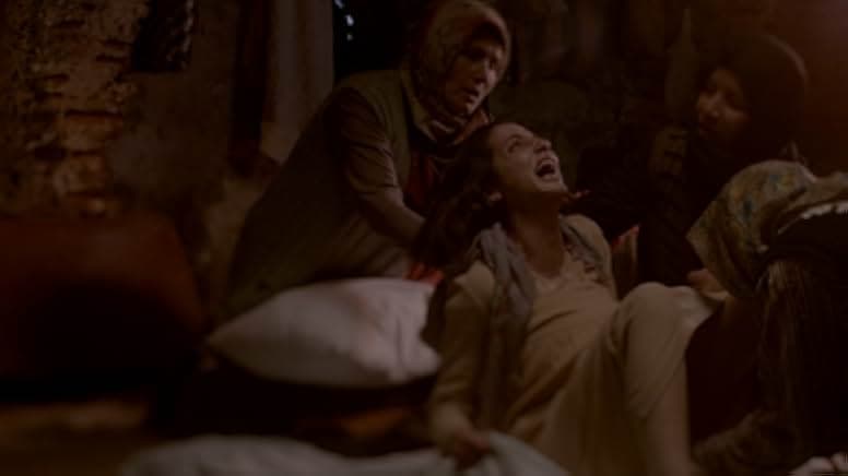 Dabbe: Zehr-i Cin 2014