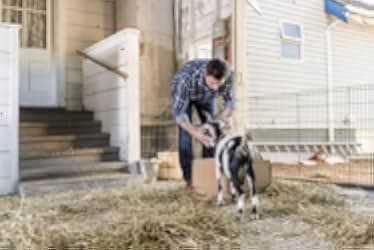 All of My Heart: Inn Love 2017