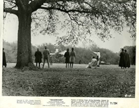 Quadroon 1971