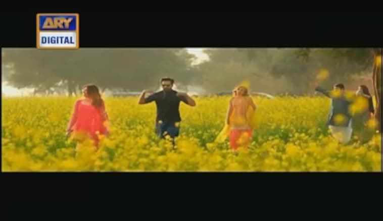 Punjab Nahi Jaungi 2017