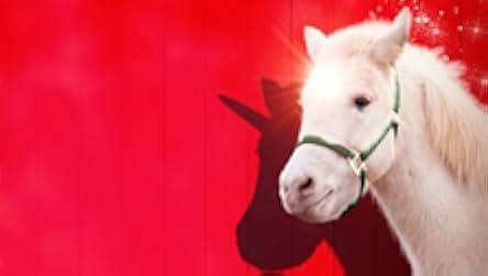 A Unicorn for Christmas 2021
