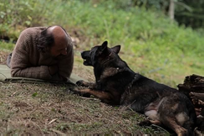 Love 1. Dog 2018
