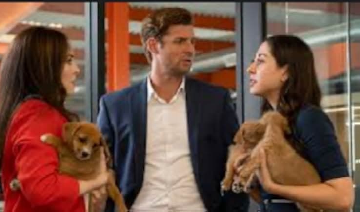 12 Pups of Christmas 2019