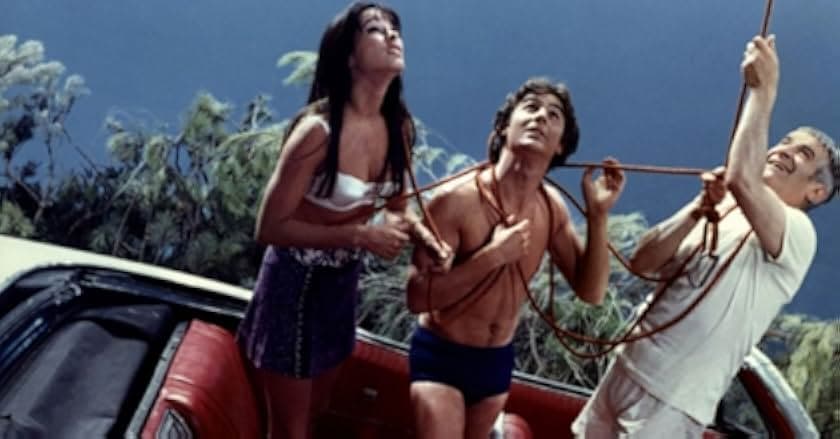 Sur un arbre perché 1971