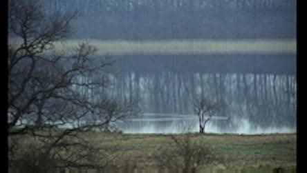 The New Land 1972