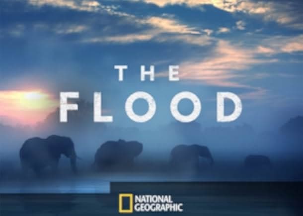 The Flood 2018