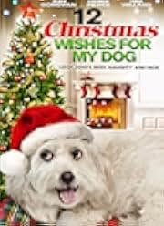 12 Wishes of Christmas 2011