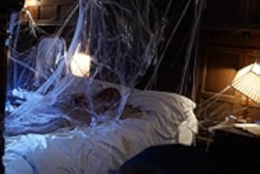 Spider in the Attic 2021