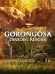Gorongosa: Paradise Reborn 2022