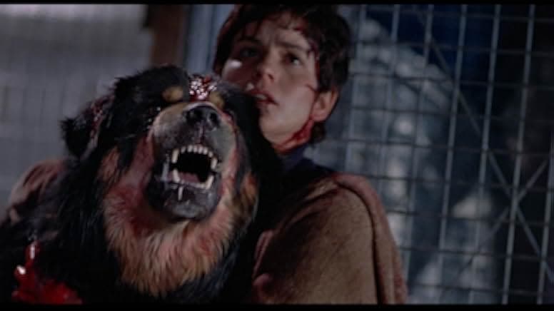 Man's Best Friend 1993