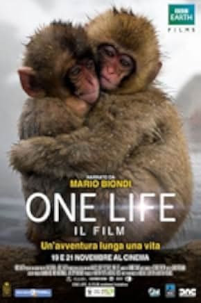 One Life 2011