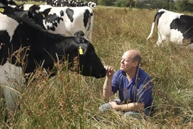 The Moo Man 2013