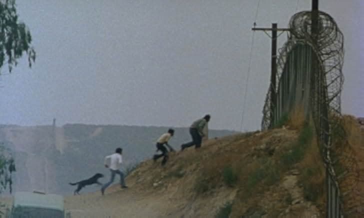 Alambrista! 1977