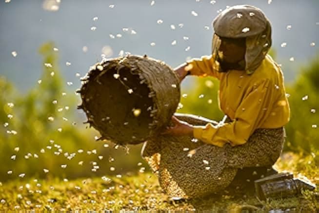 Honeyland 2019