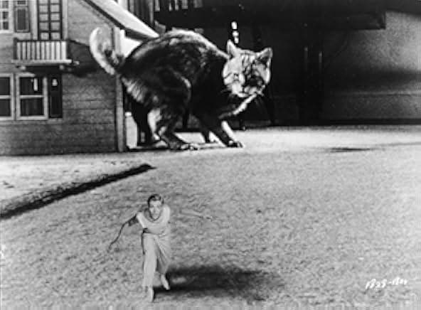 The Incredible Shrinking Man 1957