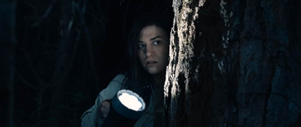 Stranger in the Woods 2024