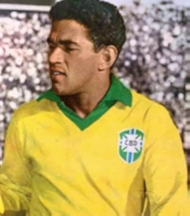Garrincha: Hero of the Jungle 1963