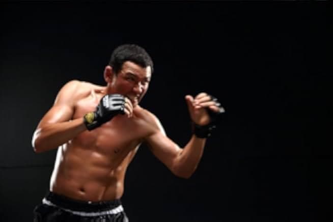 Fists of Legend 2013